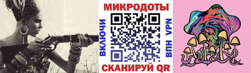 Купить  Вичуга  Псилоцибиновые грибы Magic Shrooms 