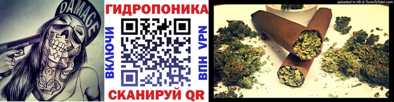 Купить Вичуга Канабис MAZAR